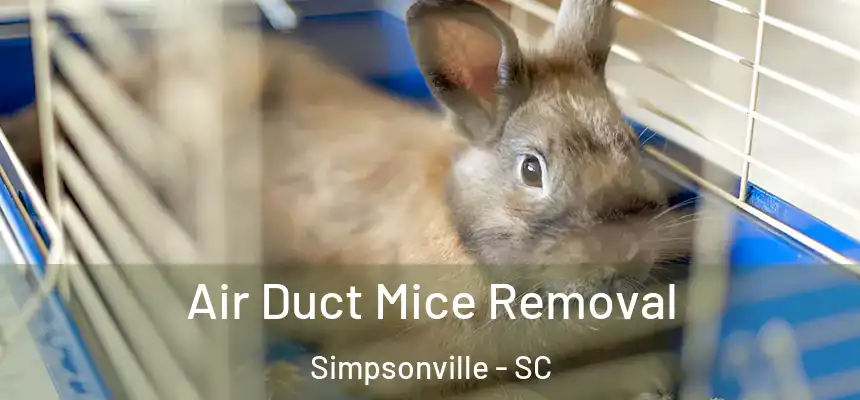  Air Duct Mice Removal Simpsonville - SC