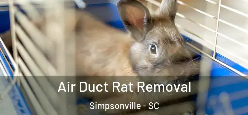  Air Duct Rat Removal Simpsonville - SC