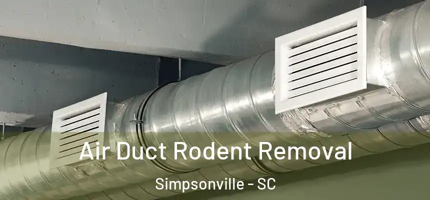  Air Duct Rodent Removal Simpsonville - SC