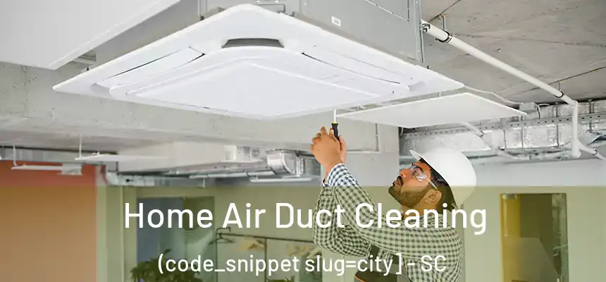  Home Air Duct Cleaning (code_snippet slug=city] - SC