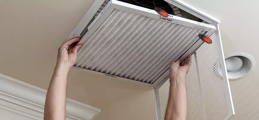 Preventive Cockroach-Proofing for Ducts in Simpsonville