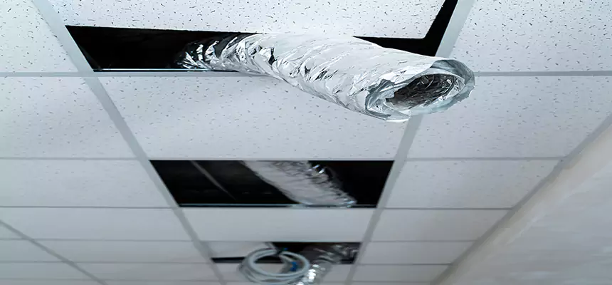 Affordable HVAC Sanitizing After Pest Removal in Simpsonville