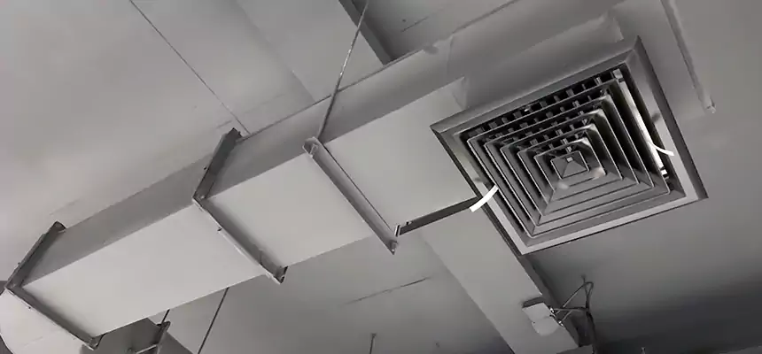 Our Pest Removal From Ducts Services in Simpsonville, SC