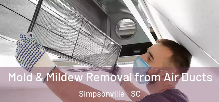  Mold & Mildew Removal from Air Ducts Simpsonville - SC