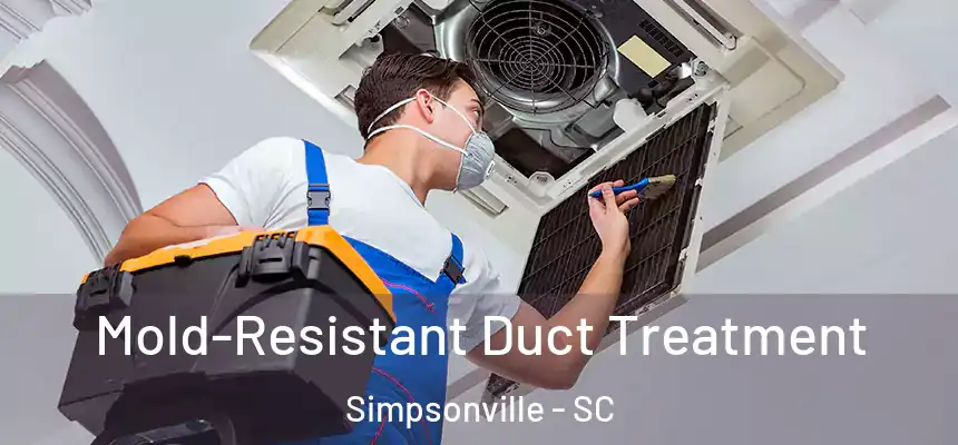  Mold-Resistant Duct Treatment Simpsonville - SC