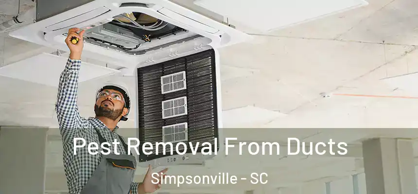  Pest Removal From Ducts Simpsonville - SC