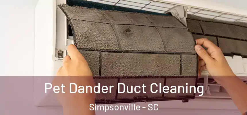  Pet Dander Duct Cleaning Simpsonville - SC
