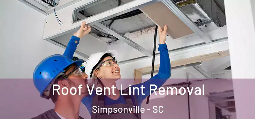  Roof Vent Lint Removal Simpsonville - SC