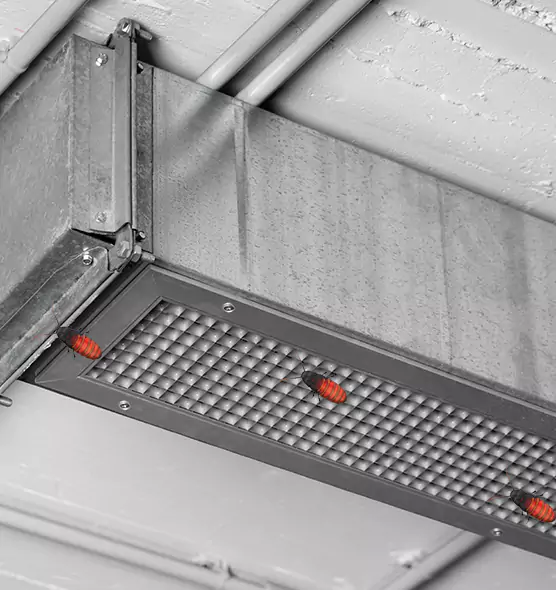 Affordable Insect Removal from Air Ducts in Simpsonville, SC