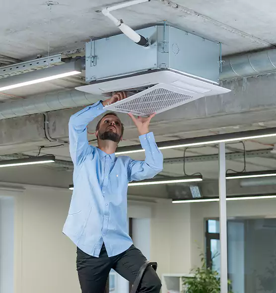 Advanced Rodent Droppings In Vents in Simpsonville, SC